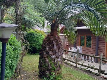Casa en Venta en Chiguayante