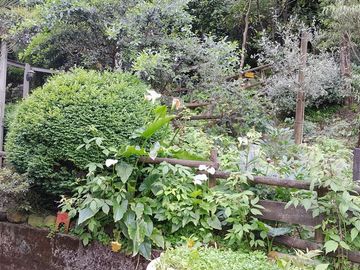 Casa en Venta en Chiguayante