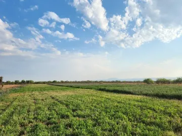 Terreno en venta en 1 de Mayo, Monclova, Coahuila de Zaragoza