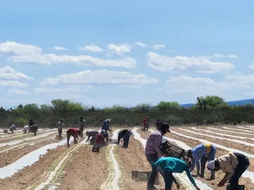 Terreno en venta en 1 de Mayo, Monclova, Coahuila de Zaragoza