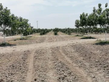 Finca-Rancho en venta en Santa Cecilia (La Cecilia), Parras, Coahuila de Zaragoza