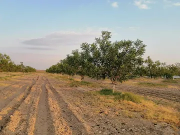 Finca-Rancho en venta en Santa Cecilia (La Cecilia), Parras, Coahuila de Zaragoza