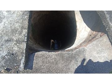 ESPLENDOR RURAL EN UN RANCHO EJIDAL EN MAPASTEPEC CHIAPAS
