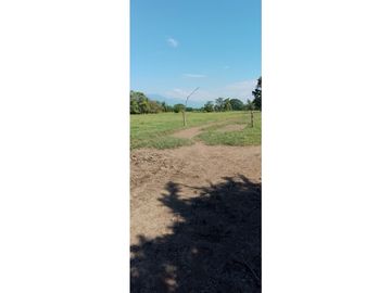 ESPLENDOR RURAL EN UN RANCHO EJIDAL EN MAPASTEPEC CHIAPAS