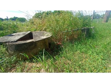 ESPLENDOR RURAL EN UN RANCHO EJIDAL EN MAPASTEPEC CHIAPAS