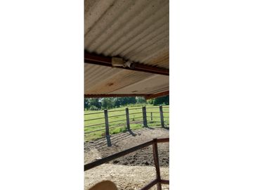 ESPLENDOR RURAL EN UN RANCHO EJIDAL EN MAPASTEPEC CHIAPAS