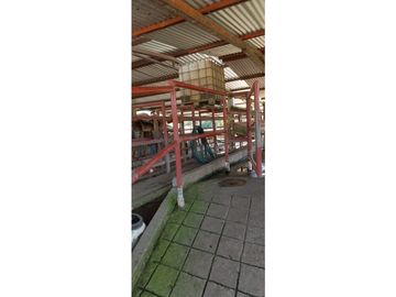 ESPLENDOR RURAL EN UN RANCHO EJIDAL EN MAPASTEPEC CHIAPAS