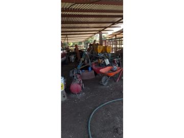 ESPLENDOR RURAL EN UN RANCHO EJIDAL EN MAPASTEPEC CHIAPAS