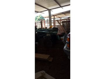 ESPLENDOR RURAL EN UN RANCHO EJIDAL EN MAPASTEPEC CHIAPAS