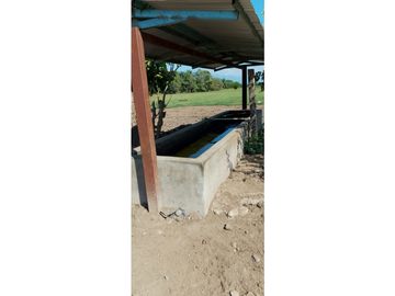 ESPLENDOR RURAL EN UN RANCHO EJIDAL EN MAPASTEPEC CHIAPAS