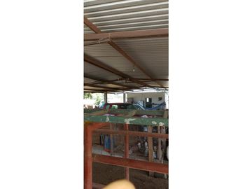 ESPLENDOR RURAL EN UN RANCHO EJIDAL EN MAPASTEPEC CHIAPAS
