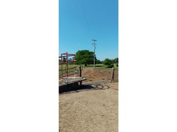 ESPLENDOR RURAL EN UN RANCHO EJIDAL EN MAPASTEPEC CHIAPAS