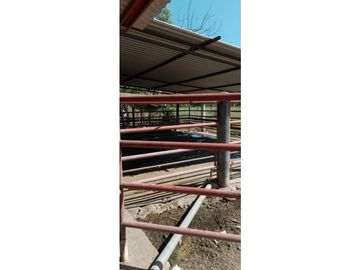 ESPLENDOR RURAL EN UN RANCHO EJIDAL EN MAPASTEPEC CHIAPAS