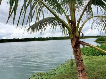 Terreno con frente de laguna en chetumal QROO , MX.