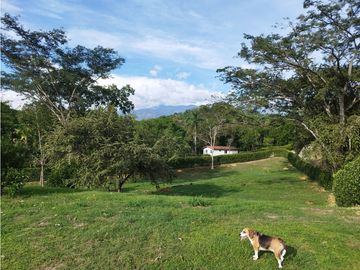 Venta De Finca En Sopetran