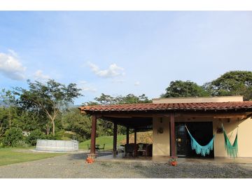 Venta De Finca En Sopetran