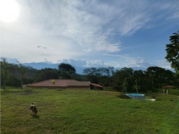 Venta De Finca En Sopetran