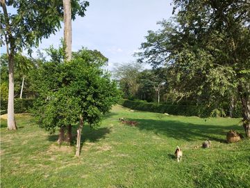 Venta De Finca En Sopetran