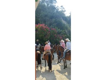 Venta Finca Hotel Sabaletas Montebello Antioquia P