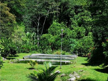 Venta Finca Hotel Sabaletas Montebello Antioquia P