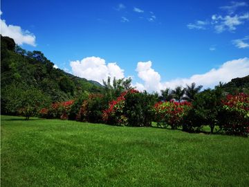 Venta Finca Hotel Sabaletas Montebello Antioquia P