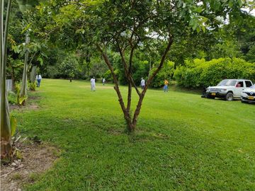 Venta Finca Hotel Sabaletas Montebello Antioquia P