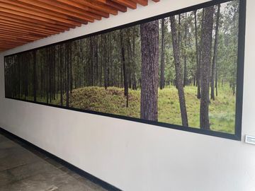 VENTA DEPARTAMENTO SANTA CRUZ ATOYAC CDMX