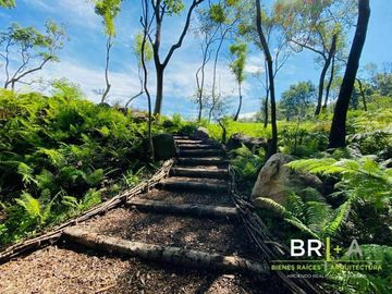 Desarrollo en medio de la naturaleza.