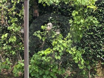 Casa en venta en San Antonio