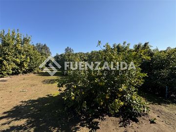 Casa en Venta en La Princesa