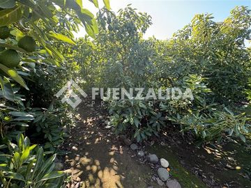 Parcela en Venta en La Princesa