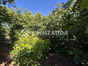 Parcela en Venta en La Princesa