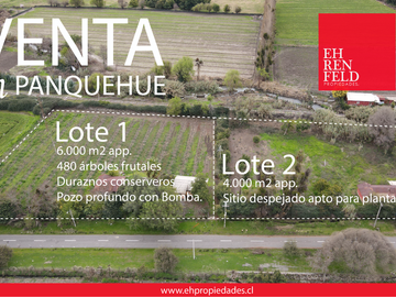 Lo Campo, Panquehue, V Región. Parcelas en venta.
