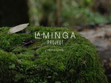 Sitio en Venta en Panguipulli
