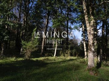 Sitio en Venta en Panguipulli