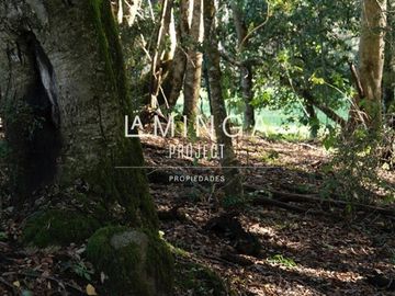 Sitio en Venta en Panguipulli