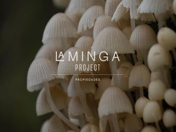 Sitio en Venta en Panguipulli