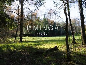 Sitio en Venta en Panguipulli