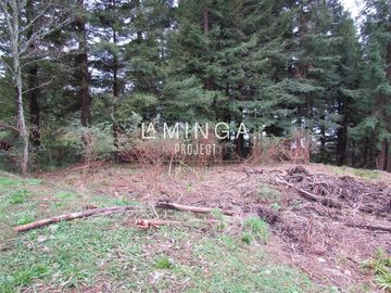 Sitio en Venta en Chauquen