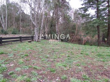 Sitio en Venta en Chauquen
