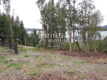 Sitio en Venta en Chauquen