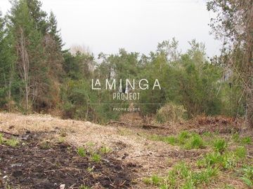 Sitio en Venta en Chauquen