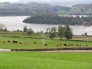 Sitio en Venta en Chauquen