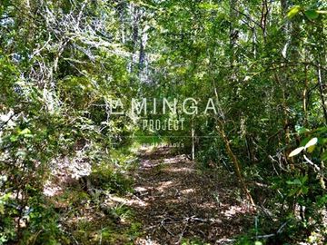 Parcela en Venta en camino Los Lagos