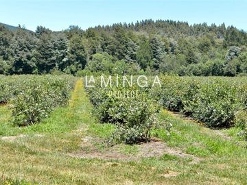 Parcela en Venta en camino Los Lagos