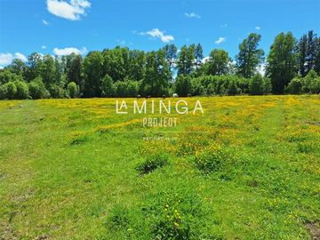 Parcela en Venta en camino Los Lagos