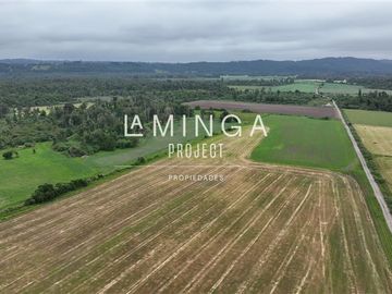 Agrícola en Venta en Puerto Nuevo Lago Ranco