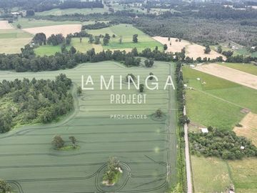 Agrícola en Venta en Puerto Nuevo Lago Ranco