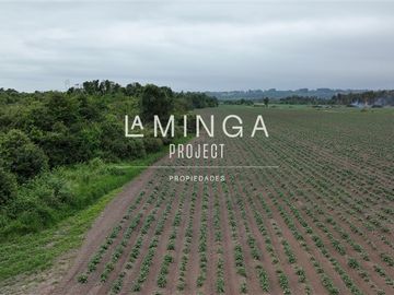 Agrícola en Venta en Puerto Nuevo Lago Ranco
