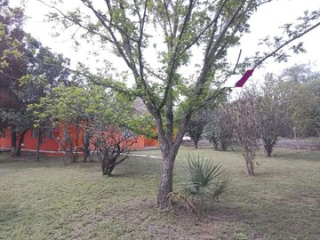 VENTA Quinta de 3,250 m2 -SAN JOSÉ CADEREYTA- 4 Recámaras con ALBERCA y PALAPA